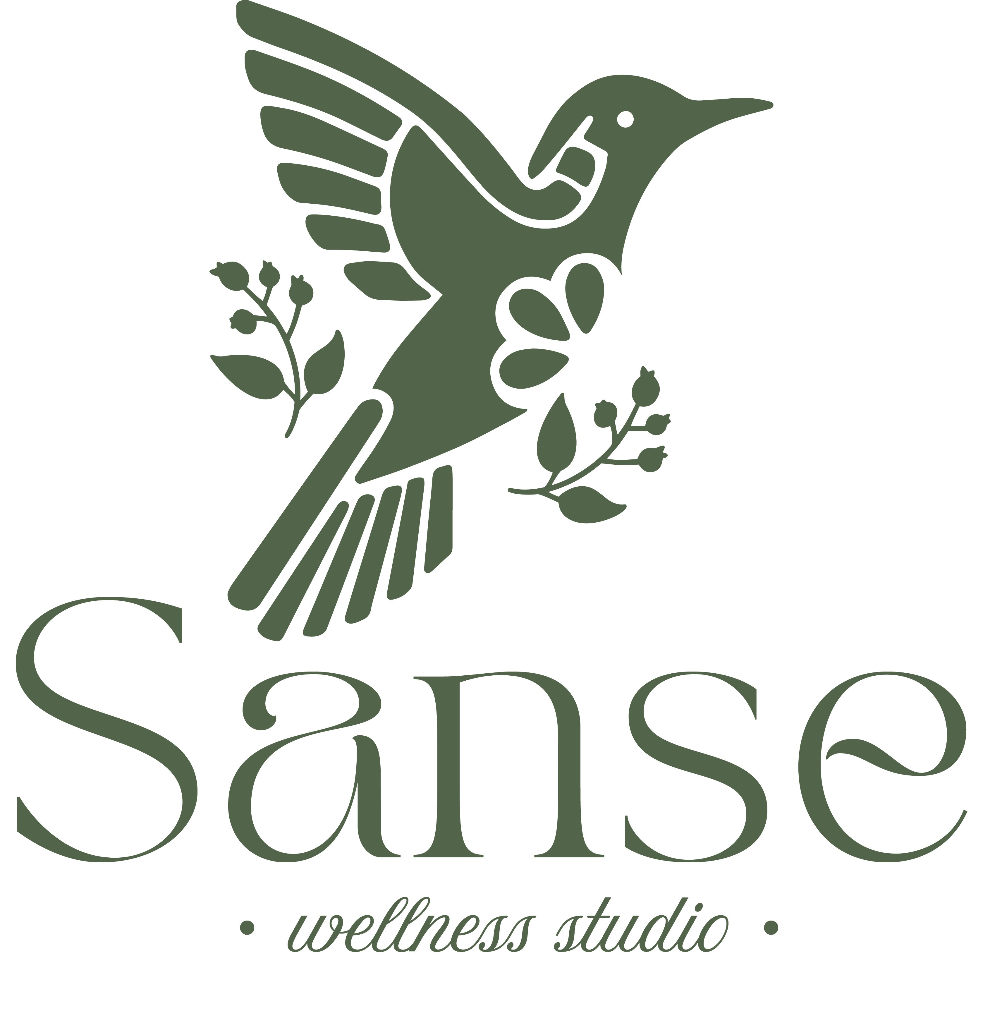 SANSE Studio